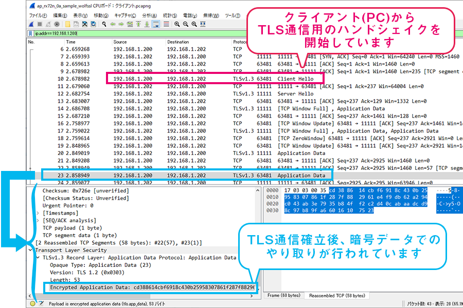 Wireshark上の通信ログ抜粋